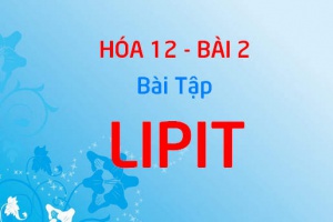 Bài tập về Lipit và Chất béo có lời giải - Hóa 12 bài 2